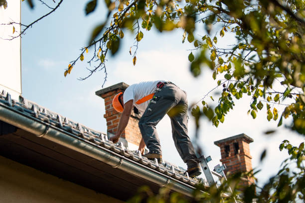 Roof Coating Services in Lost Hills, CA