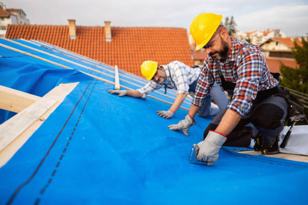 Best Roof Insulation Installation  in Lost Hills, CA