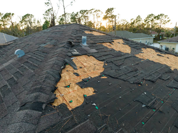 Best Chimney Flashing Repair  in Lost Hills, CA