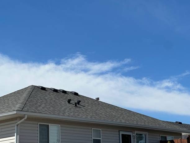 Best Tile Roofing Installation  in Lost Hills, CA